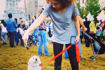Dog Run at Main Street Garden